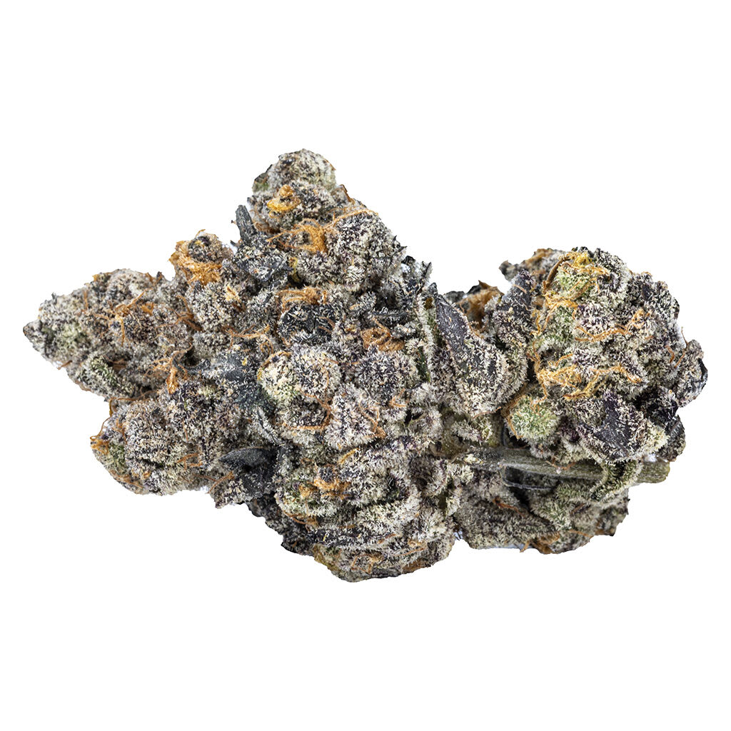 Sixty Seven Sins - Gas Face 3.5g Dried Flower - Gas Face 3.5g Dried Flower